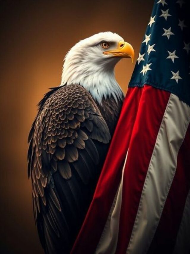 As ‘Buy Canadian’ grows, more US companies say retailers turning away their products