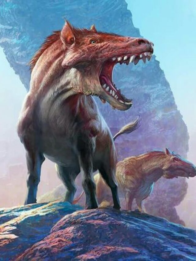 Scientists Find a Rare Two-Clawed Dinosaur in Mongolia