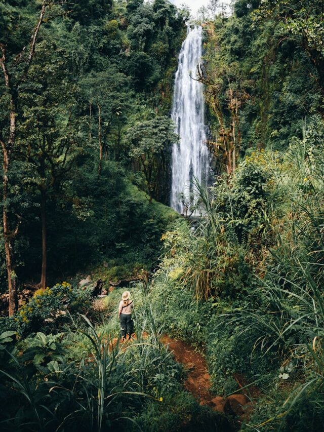 Woman explores a lush green forest with a waterfall.